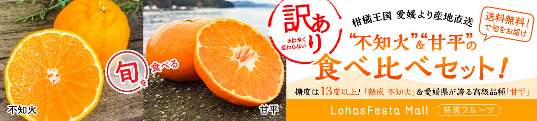 柑橘王国 愛媛より産地直送『不知火』＆『甘平』